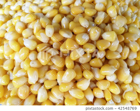 Sweet corn kernels 42548769