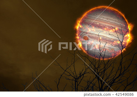 Explosive jupter back silhouette dry tree and sky 42549086