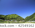 Fresh green is a village rural area 42549162