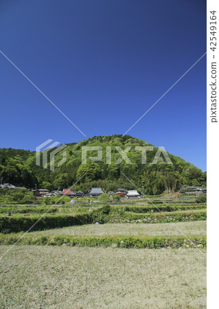 Fresh green is a village rural area Fresh green is a village rural area 42549164