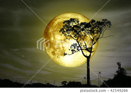 super yellow moon