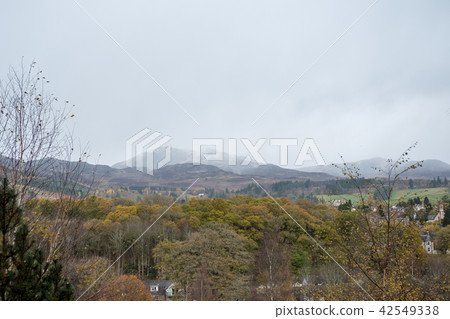 Scenic view of mountain, forest Scenic view of mountain, forest 42549338