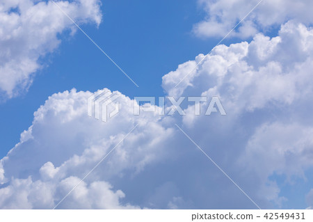 Summer sky summer cloud 42549431