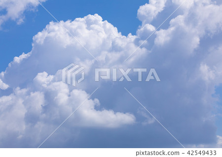 Summer sky summer cloud 42549433