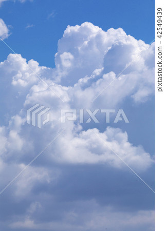 Summer sky summer cloud 42549439