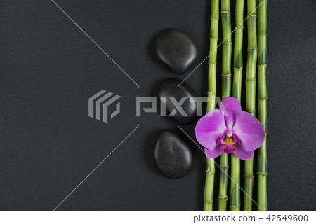 Zen stones, orchid flower and bamboo Zen stones, orchid flower and bamboo 42549600