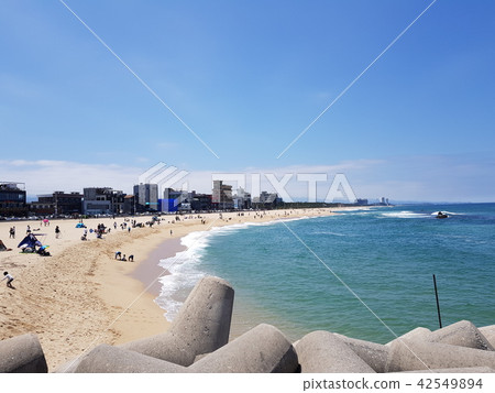 Beach 42549894