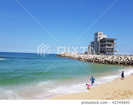 Beach 42549895