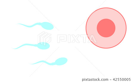 Sperm and egg 42550005