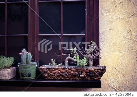 Cozy house with wooden shutters and pots with flowers on windows Cozy house with wooden shutters and pots with flowers on windows 42550042