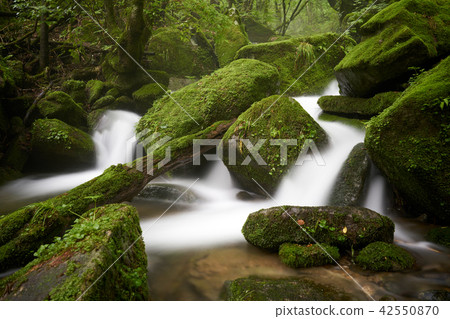 江原道,Sangdong,Yeongwol,江原道 江原道,Sangdong,Yeongwol,江原道 42550870