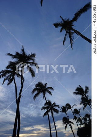 hawaii, maui, the island of maui 42550982