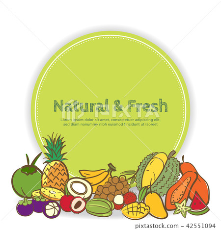 Tropical fruits cute banner background template 42551094