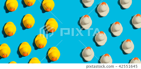 Rubber ducks in different directions concept 42551645