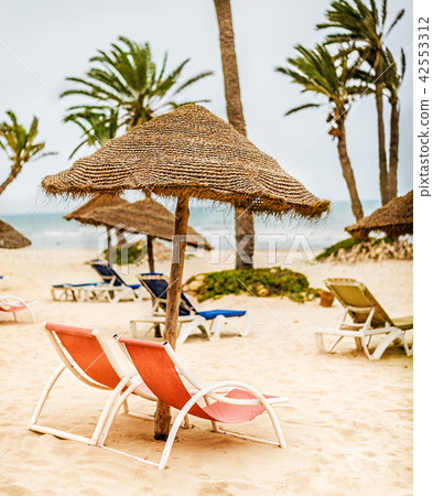 Focus on parasol. Sunbeds on snow-white sand Focus on parasol. Sunbeds on snow-white sand 42553312