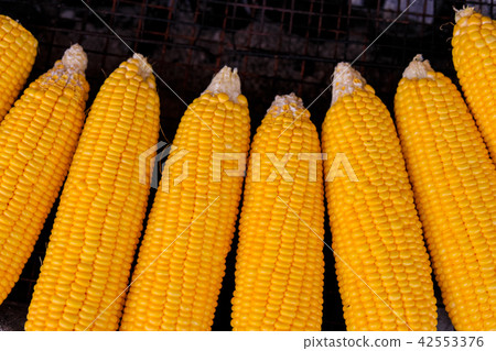 Grilled corn. Vegetables burn on the hot stove Grilled corn. Vegetables burn on the hot stove 42553376