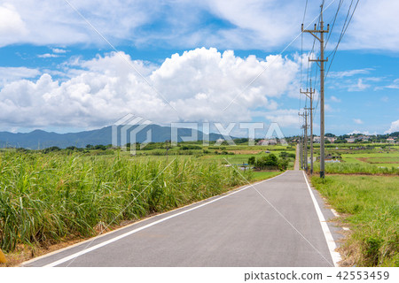 沖繩縣小濱島糖路 42553459