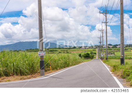 Okinawa Prefecture Kohamajima Sugar Road Okinawa Prefecture Kohamajima Sugar Road 42553465
