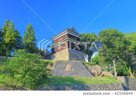 在晴朗的天氣下的Uedajonnamuna 42556844