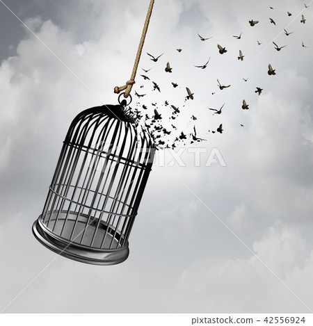 Freedom Idea 42556924