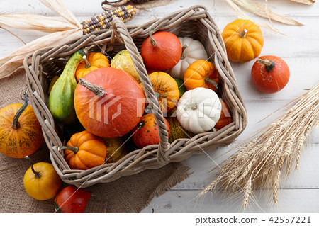 Basket with colorful pumpkins and gourds for Halloween and Thanksgiving 42557221