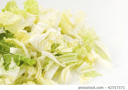 Cutting of Chinese cabbage (prepare) 42557371