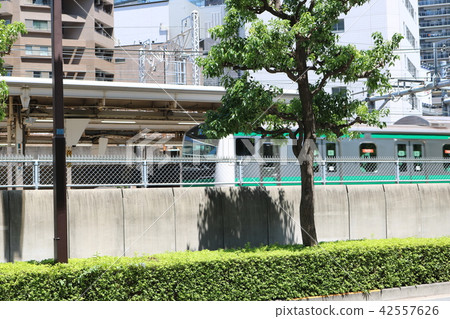 Osaki Station Home and Saikyo Line Train Body Osaki Station Home and Saikyo Line Train Body 42557626