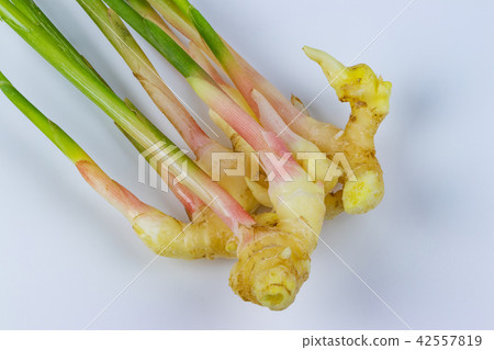 New ginger ginger 42557819