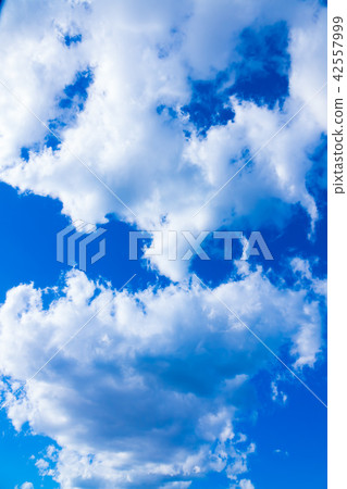 December's sky and clouds vertical December's sky and clouds vertical 42557999