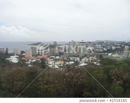 Scenery from the hill of New Caledonia Scenery from the hill of New Caledonia 42558185