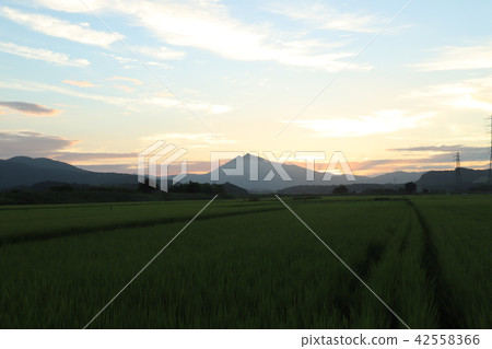 在筑波山的日落，夏天從石岡市周圍 42558366