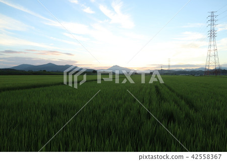 在筑波山的日落，夏天從石岡市周圍 42558367