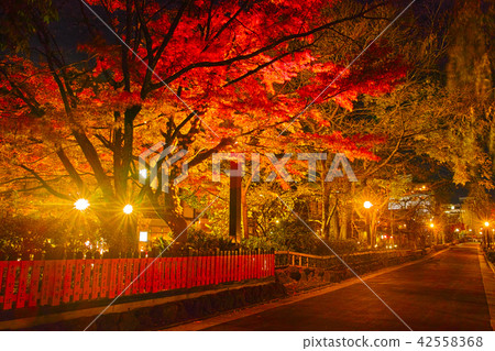 秋天京都，Gion白川町夜視圖 42558368