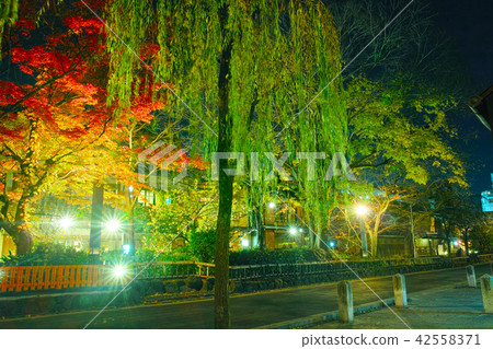 秋天京都，Gion白川町夜視圖 42558371