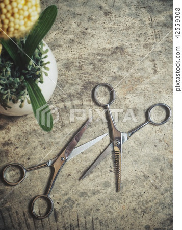 Hair cutting shears Hair cutting shears 42559308