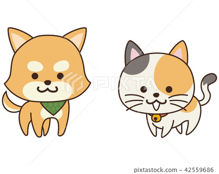 一隻聰明的寵物狗和一隻貓 42559686