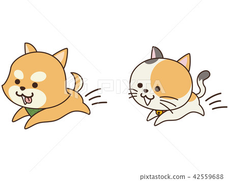 Running pet dog and cat 42559688