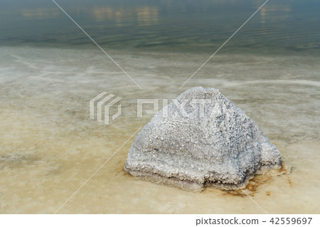 Stone with crystallized salt on Urmia Salt Lake 42559697