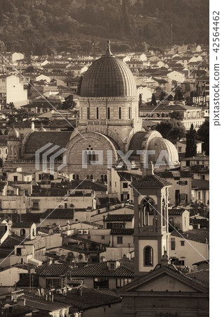 Great Synagogue of Florence 42564462