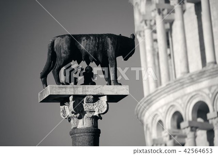 Leaning tower Capitoline wolf in Pisa 42564653