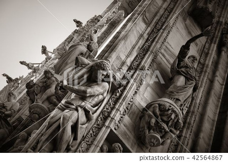 Milan Cathedral closeup Milan Cathedral closeup 42564867