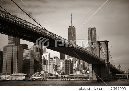 Brooklyn Bridge and downtown Manhattan Brooklyn Bridge and downtown Manhattan 42564993