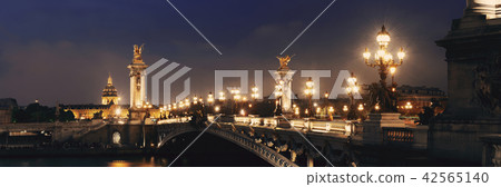 Alexandre III bridge night view Alexandre III bridge night view 42565140