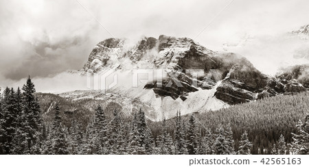 Bow Lake Bow Lake 42565163