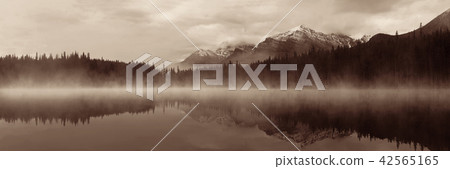 Lake Herbert 42565165