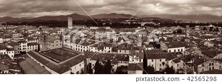 Lucca skyline tower panorama Lucca skyline tower panorama 42565298
