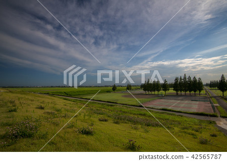 整體地面遊樂場東京方向 42565787