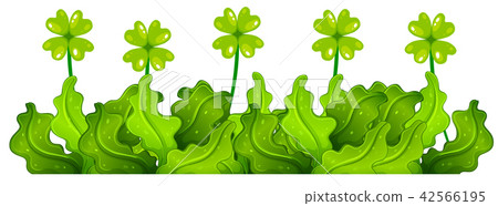 Green bush with four leaf clovers Green bush with four leaf clovers 42566195