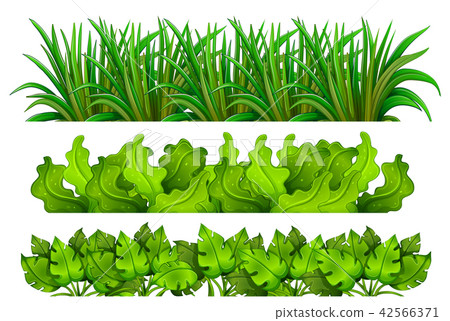 A set of green grass 42566371