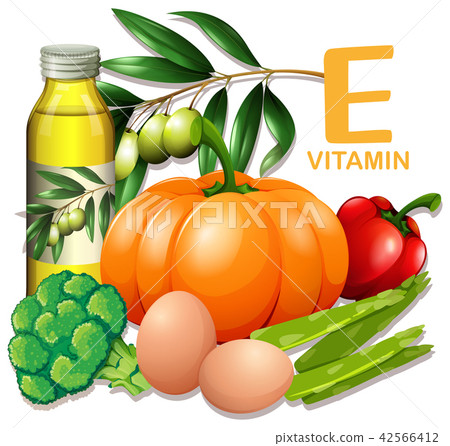 A Set of Vitamin E Food A Set of Vitamin E Food 42566412